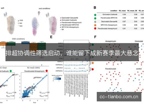 排超协调性筛选启动，谁能留下成新赛季最大悬念