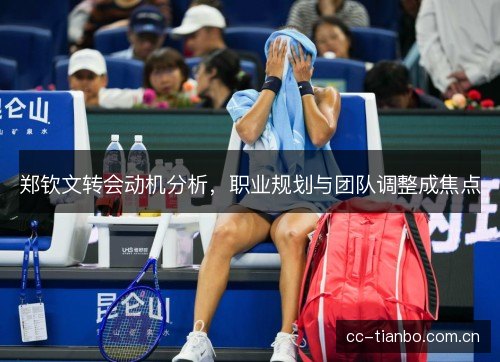 郑钦文转会动机分析，职业规划与团队调整成焦点